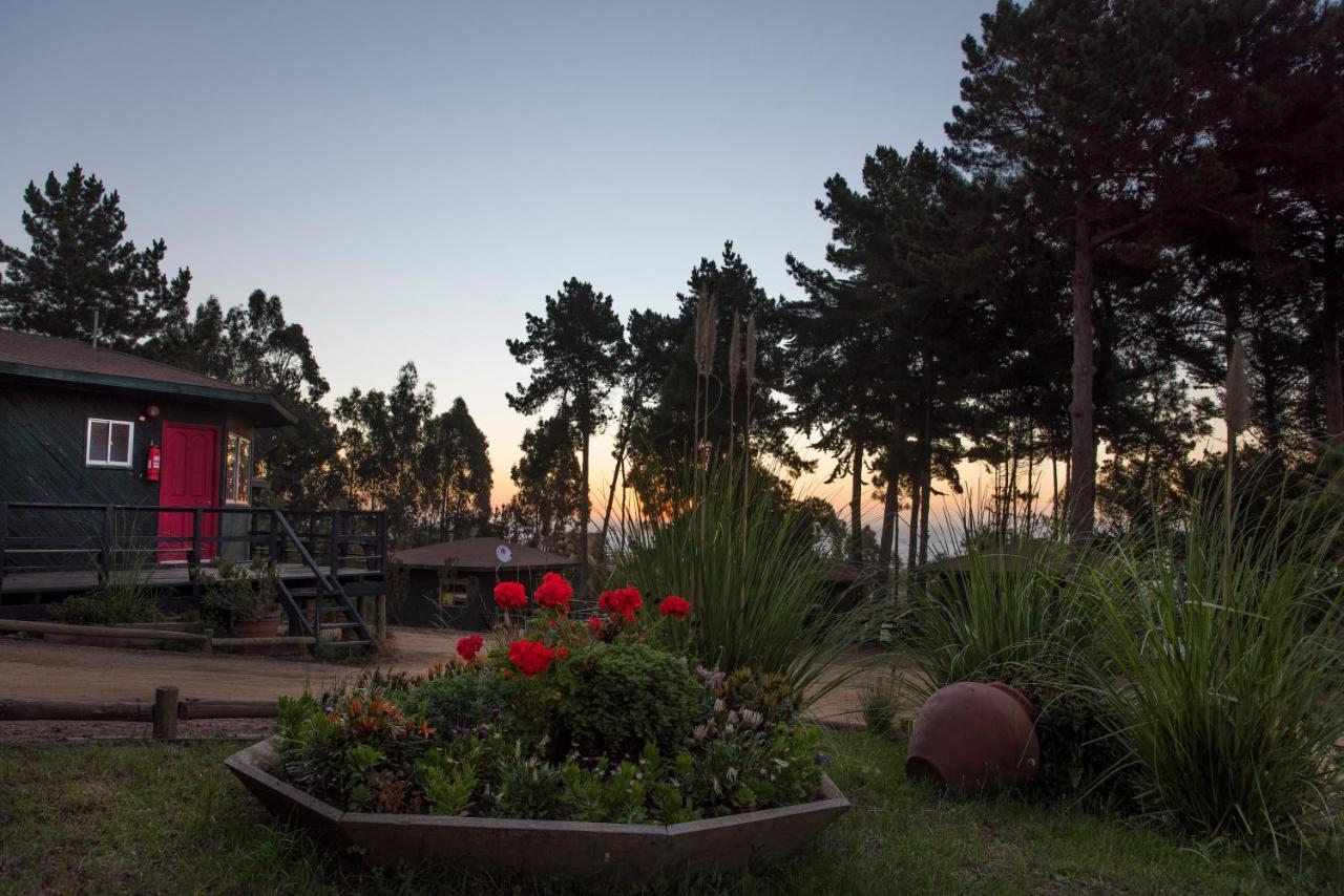 Lugano Pichilemu